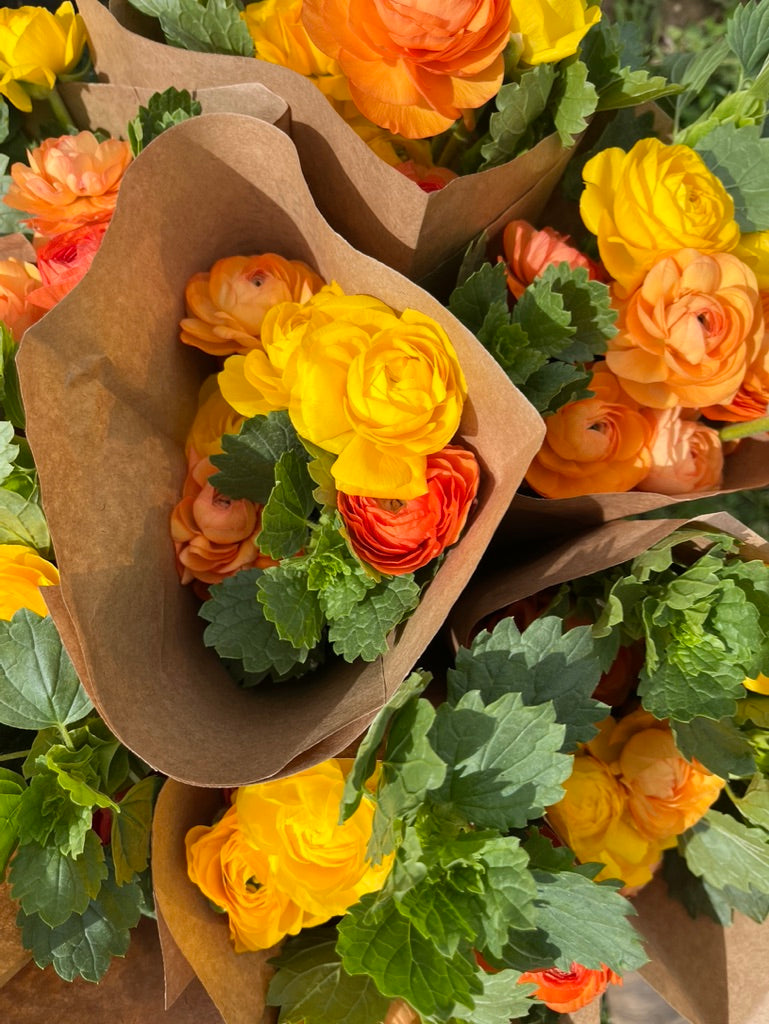 Premium Spring Flower Club