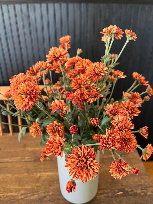 Heirloom Mum Subscription