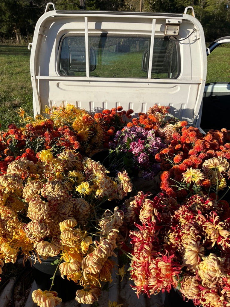 Premium Fall Flower Subscription