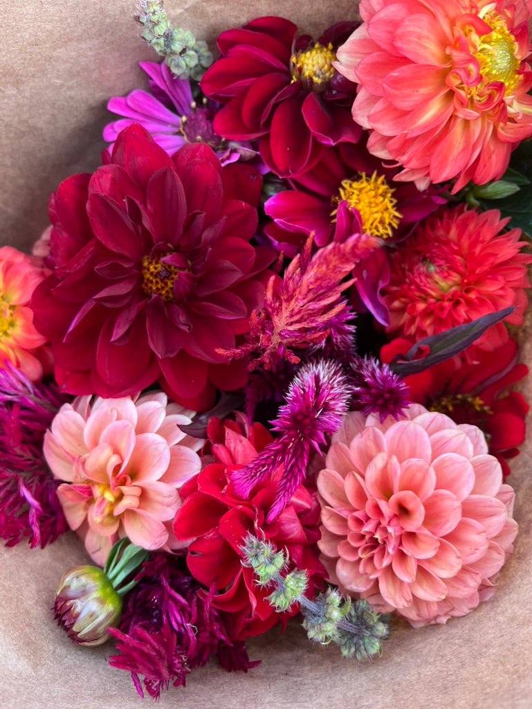 Premium Fall Flower Subscription
