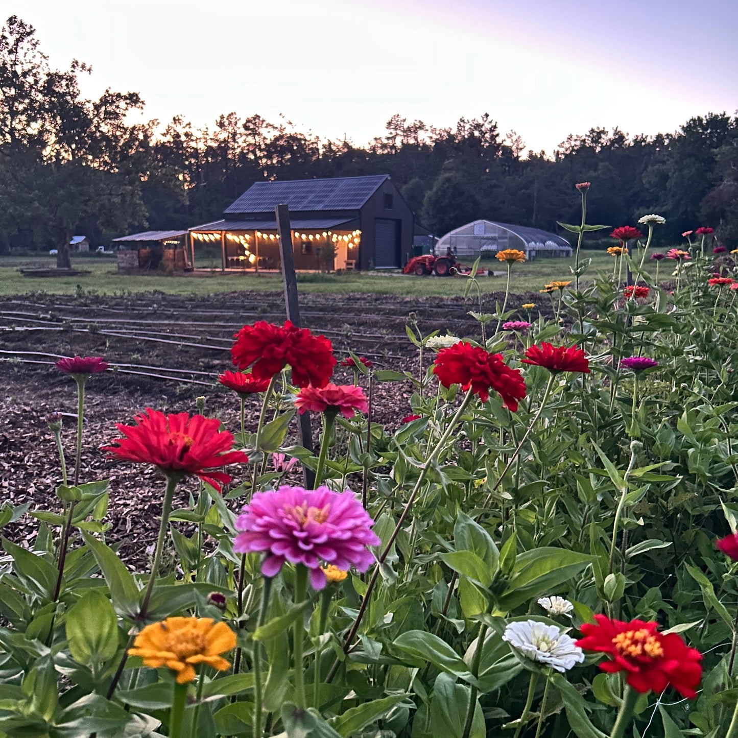 Farm Date Night