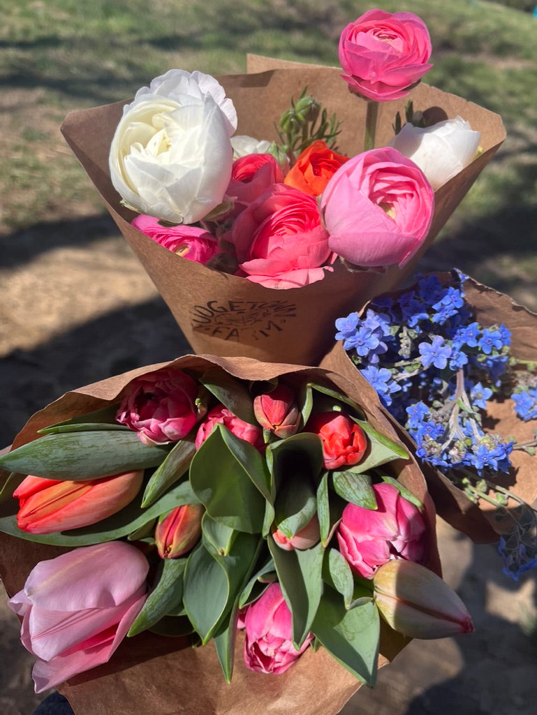 Premium Spring Flower Club