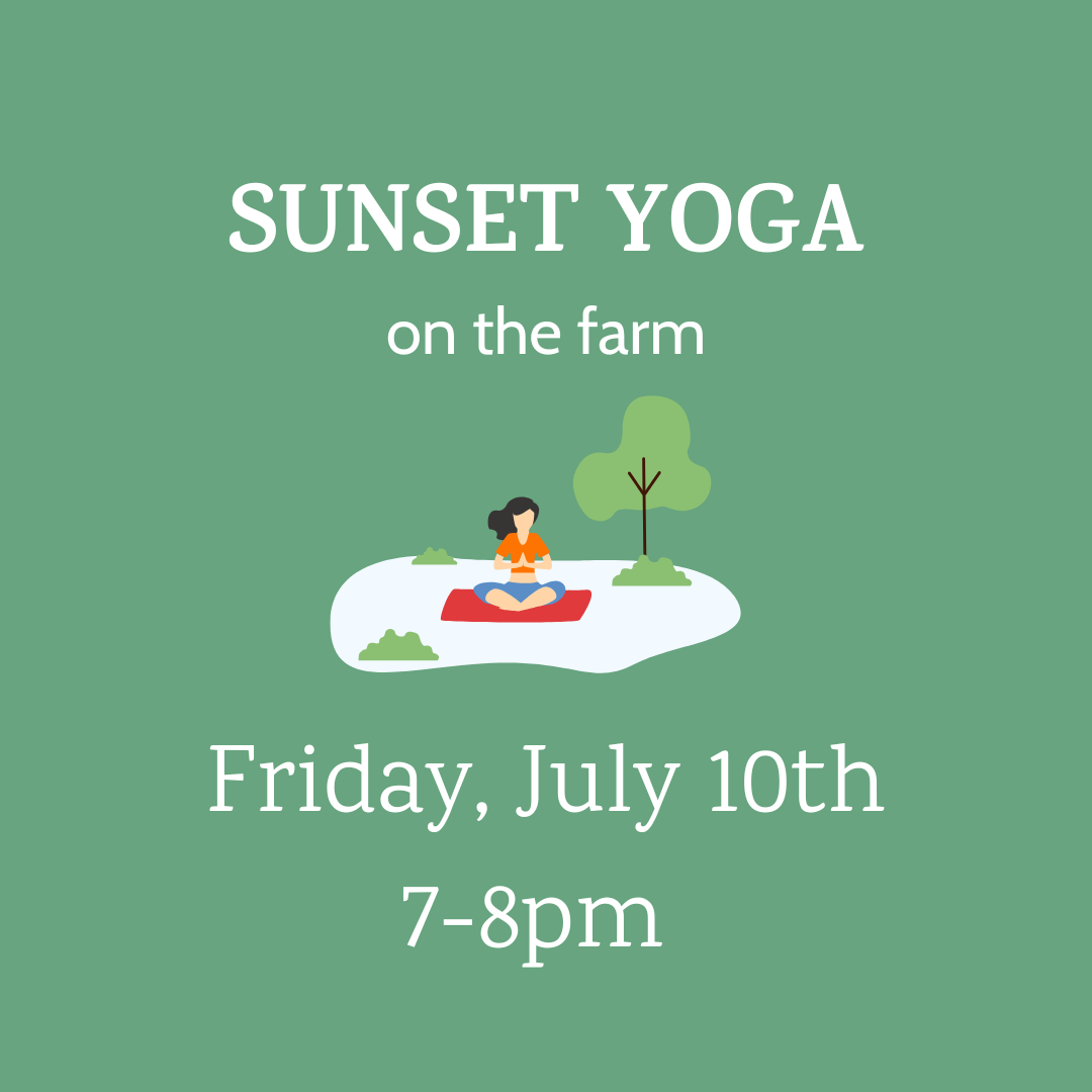 Sunset Yoga