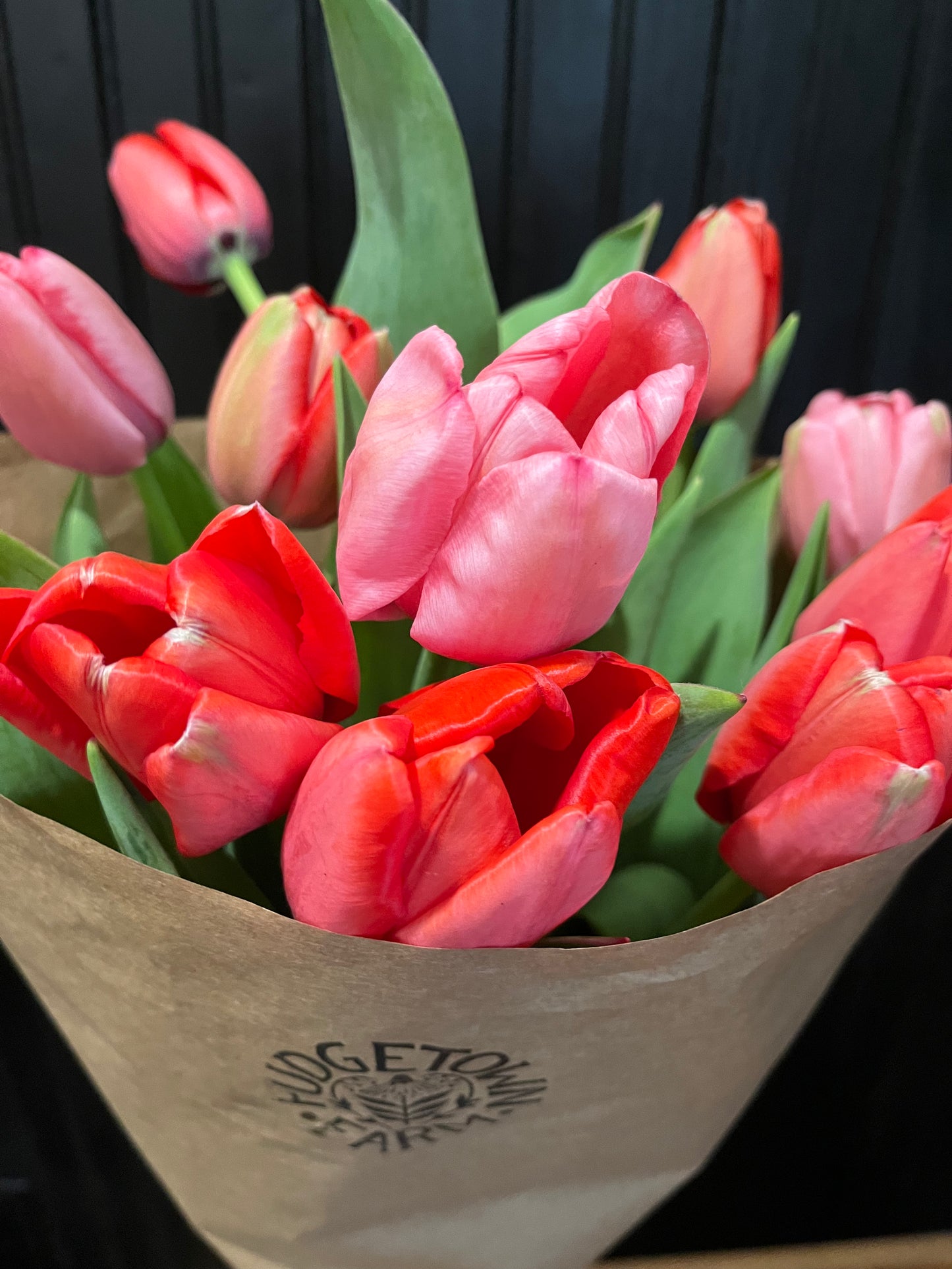 Valentine's Day Tulips