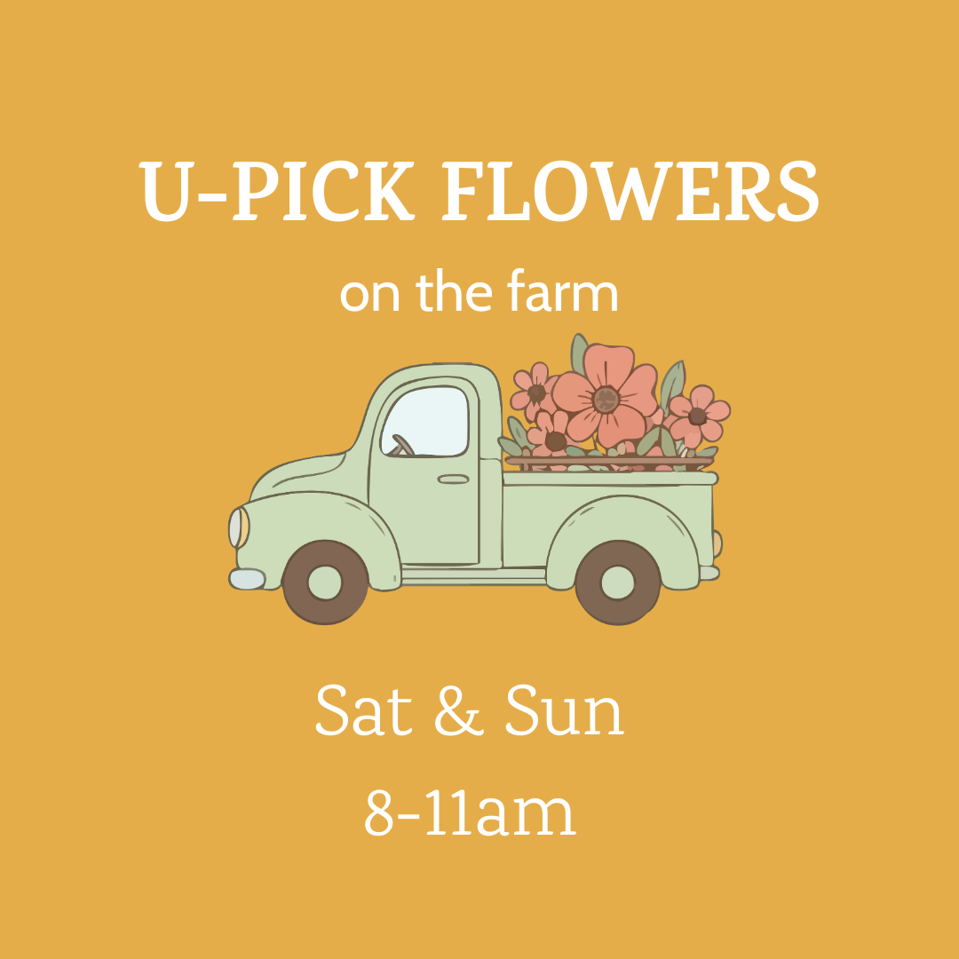 Flower U-Pick