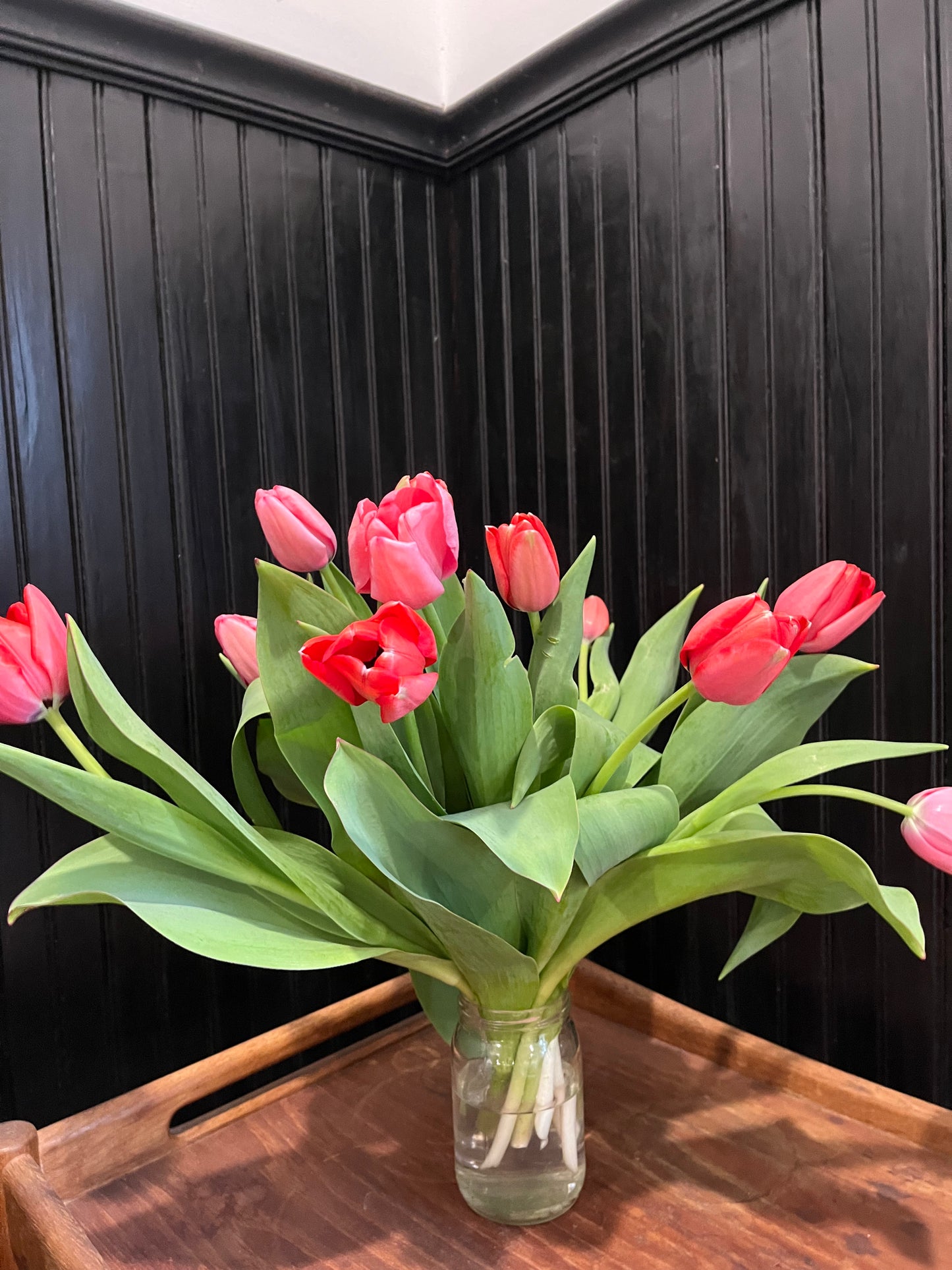 Valentine's Day Tulips