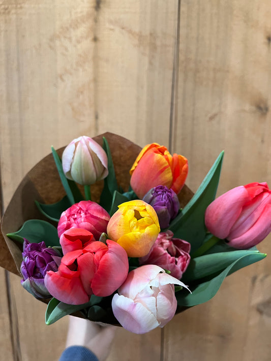 Specialty Tulip Subscription