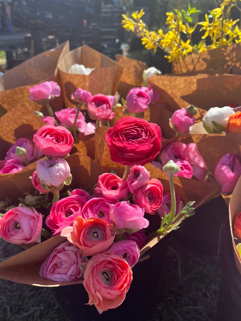 Premium Spring Flower Club