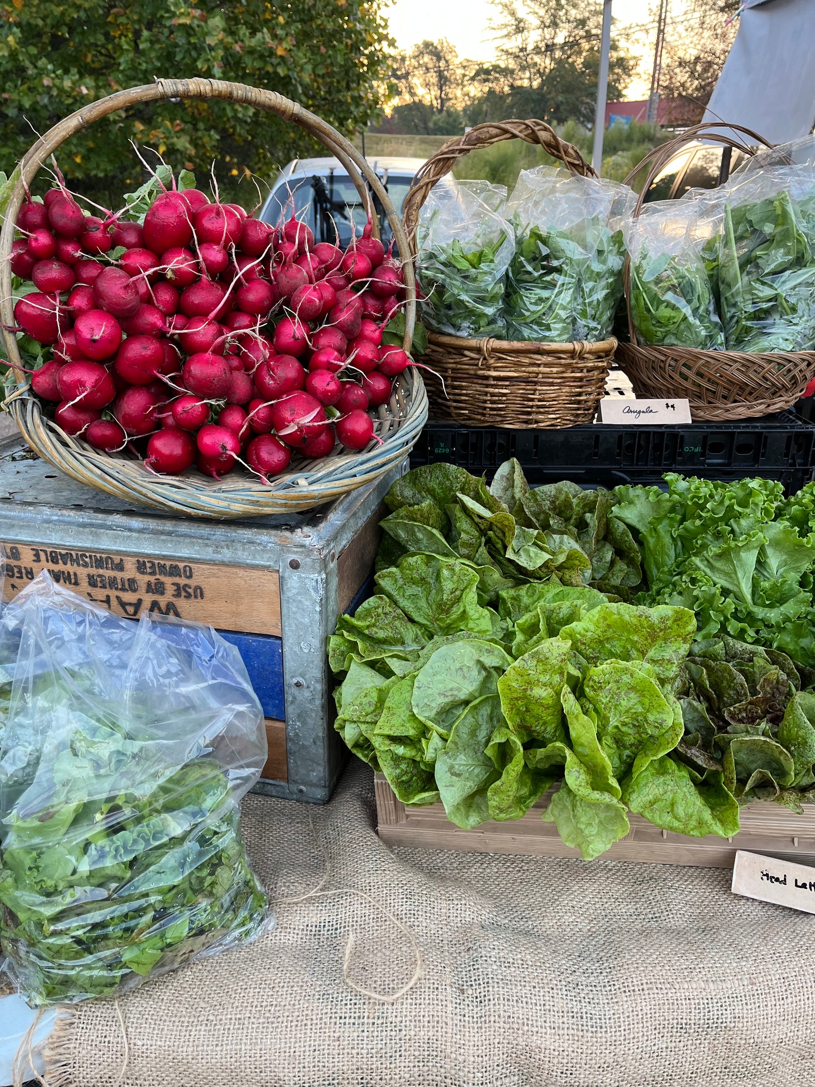 Fudgetown Farm photo 10