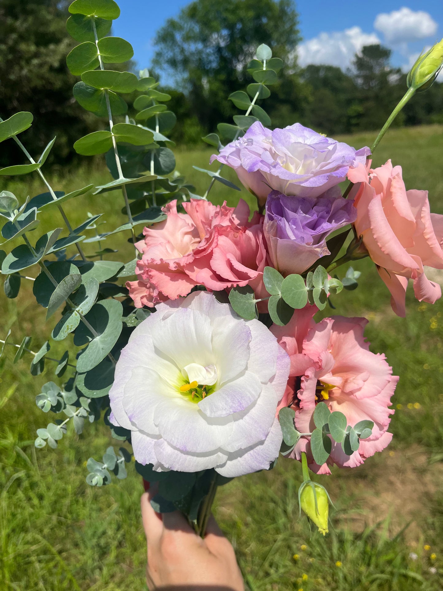 Summer Lisianthus Flower Club