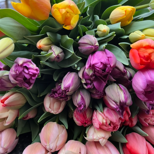 FREE Fall Bulb Workshop
