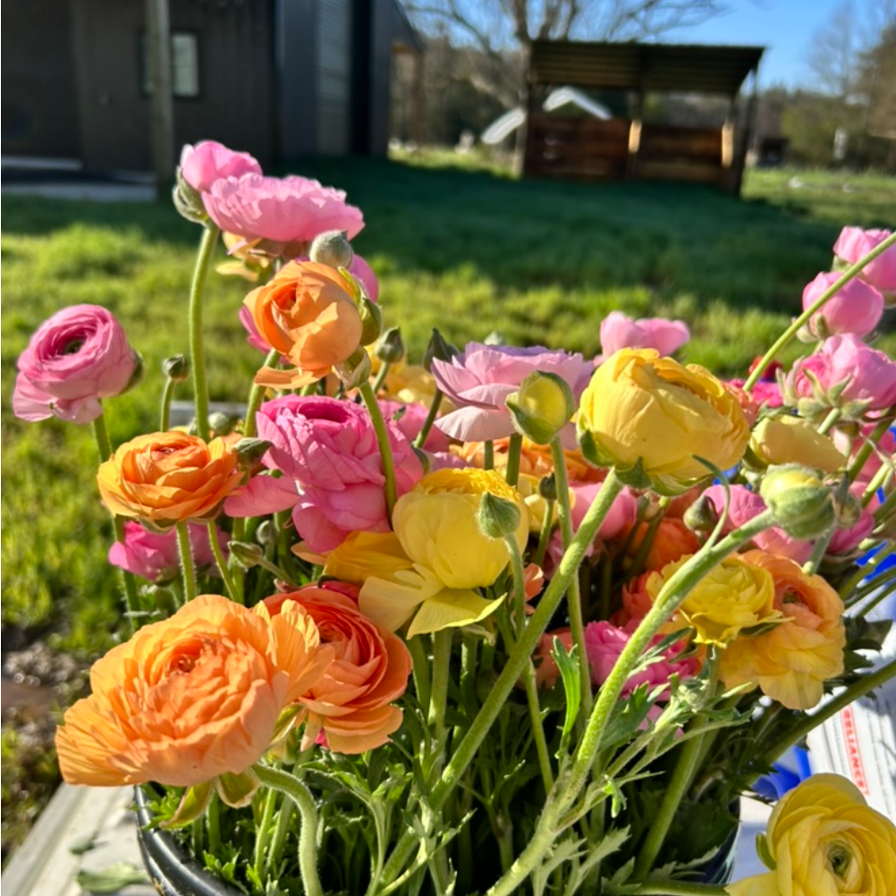 FREE Fall Bulb Workshop